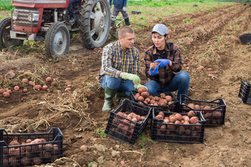 Two adult workers, man and woman, posing during harvesting of potatoes at a farm field on a sunny...