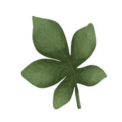 Autumn leaves. Single leaf. Set of autumn leaves. Tree leaves. Sketch leaves