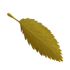 Autumn leaves. Single leaf. Set of autumn leaves. Tree leaves. Sketch leaves