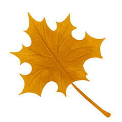 Autumn leaves. Single leaf. Set of autumn leaves. Tree leaves. Sketch leaves