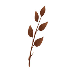 Autumn leaves. Single leaf. Set of autumn leaves. Tree leaves. Sketch leaves