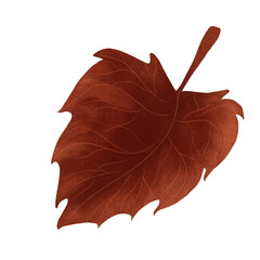 Autumn leaves. Single leaf. Set of autumn leaves. Tree leaves. Sketch leaves