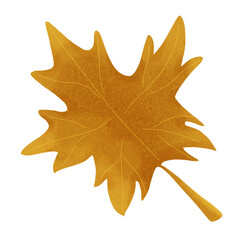 Autumn leaves. Single leaf. Set of autumn leaves. Tree leaves. Sketch leaves