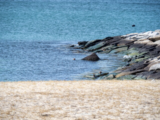 穏やかな海岸。(林崎･松江海岸(兵庫県明石市))

