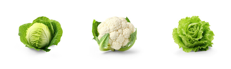collection of organic natural full cauliflower, cabbage and romaine lettuce vegetable isolated on transparent png background with shadows, for online menu shopping list ready for any background - obrazy, fototapety, plakaty