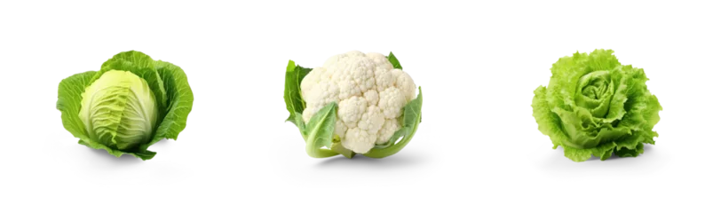Fototapete collection of organic natural full cauliflower, cabbage and romaine lettuce vegetable isolated on transparent png background with shadows, for online menu shopping list ready for any background © sizsus