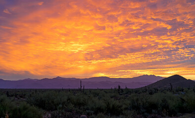 Panoramic & Vibrant Colored Desert Sunrise Landscape In Arizona