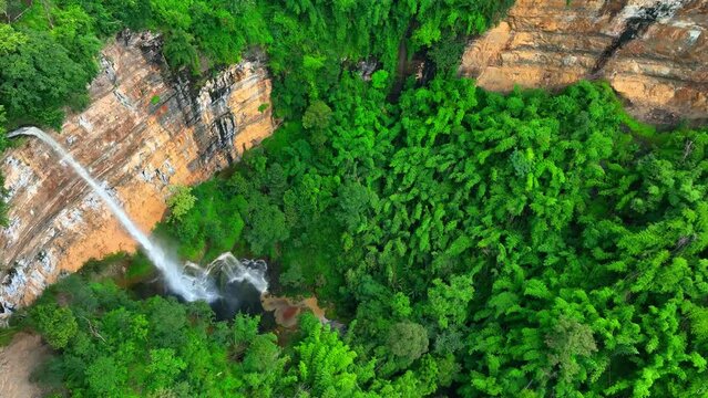 A majestic waterfall cascades from a towering forest cliff, its pristine waters glistening in the dappled sunlight, surrounded by lush greenery. (Nam Nao National Park, Thailand). Waterfall video.
