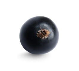 One fresh ripe blackcurrant isolated on white