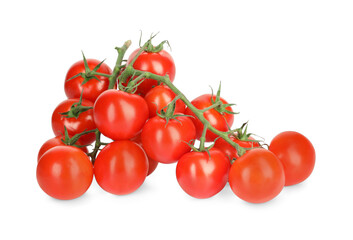 Branches of red ripe cherry tomatoes isolated on white