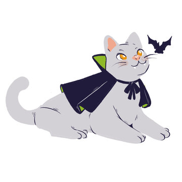 Gato Vampiro