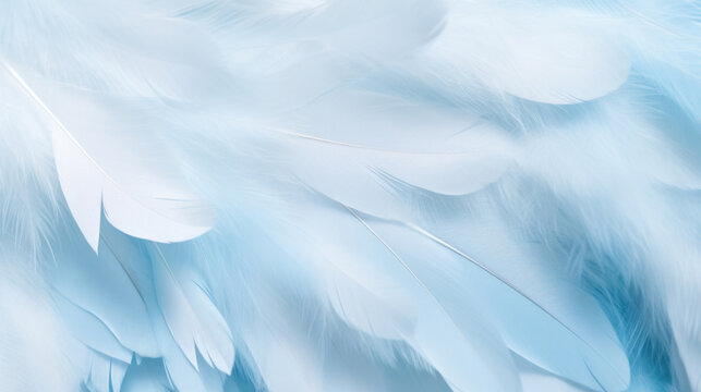 An abstract background with a close-up of soft blue feathers © red_orange_stock