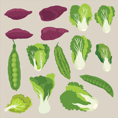 set of vegetables