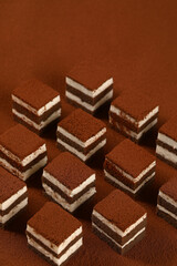 Square shaped tiramisu, chocolate cocoa layer cake