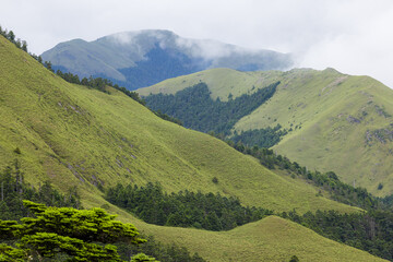 Obraz premium Foggy over the mountain in Hehuanshan