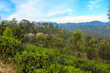 Fototapeta na wymiar The village houses around Little Adam's Peak, Ella, Sri Lanka.