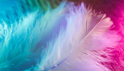 colorful feather background