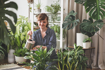 A young woman enjoys caring for flowers. Watering indoor plants and admiring them. Variegated...