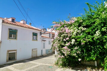 ブーゲンビリアとリスボンの家
