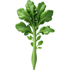 Peppery green arugula 3D illustration