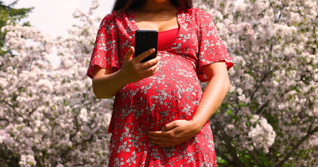 Pregnancy. Pregnant woman using phone in cherry blossom trees pink spring flowers. New season and...