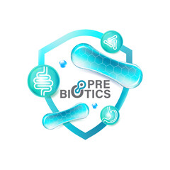 Prebiotic Foods Good Bacteria Vector illustration. 