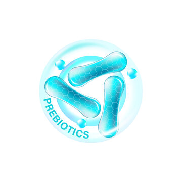 Prebiotic Foods Good Bacteria Vector illustration. 