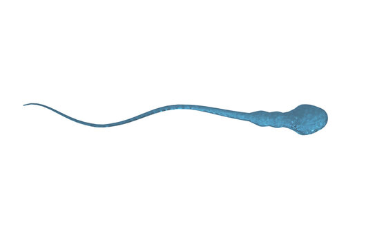 Digital png illustration of blue spermatozoid on transparent background