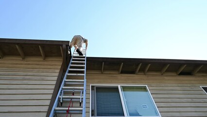 Senior man climbing an aluminum extension ladder on the exterior of a residential building
