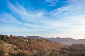 Spring sunset in the vineyards of Collio Friulano