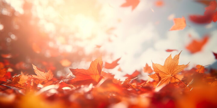 background with autumnal colors, showcasing the beauty of falling leaves and the coziness of a harvest season.