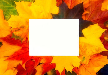 Naklejka na ściany i meble White background for text on autumn leaves. Autumn background