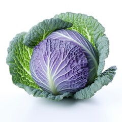 Obraz premium Blue cabbage isolated on a white background