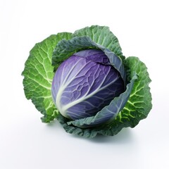Fototapeta premium Blue cabbage isolated on a white background