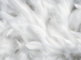 Beneath gentle lighting, a backdrop of white and delicate pink silk feathers creates a soft, ethereal atmosphere, complemented by the graceful undulations of chiffon fabric.