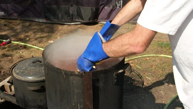Wearing blue rubber gloves while scalding or giving hot bath to freshly butchered chicken in large pot over fire pit. This process make plucking much more easy.