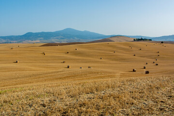 landscape with bales in the tuscany