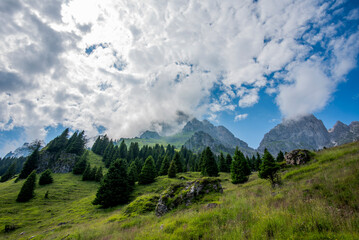 2023 07 08 Gosaldo mountain landscape 20