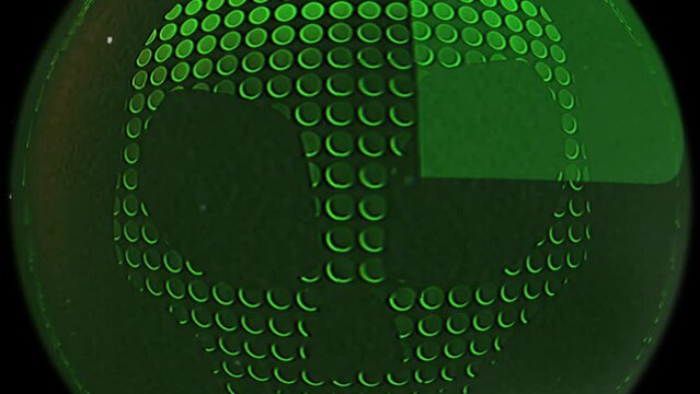 Human skull looking at the camera cyber security and computer crimes and hacking