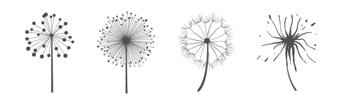 Dandelion Signs Black Thin Line Icon Vector Set