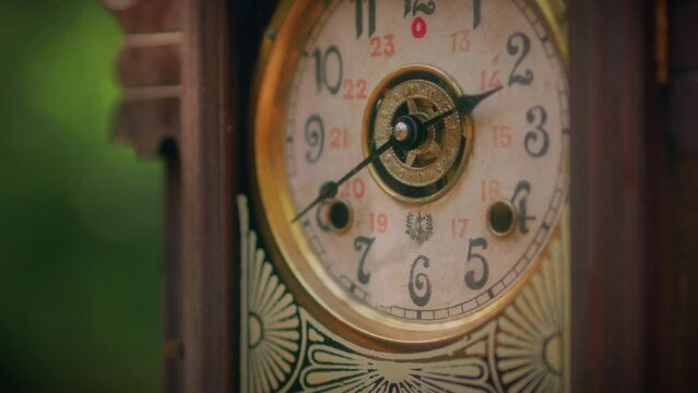 antique wooden pendulum clock in a forest close up shot slow motion