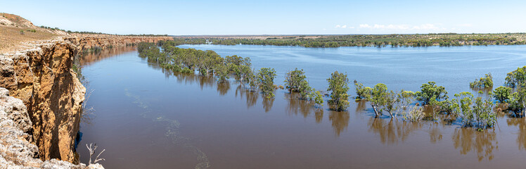 River Murray Flood Waters, wide panorama of flood waters, River Murray, South Australia.