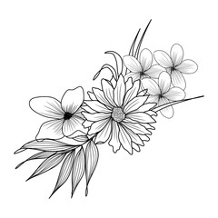 sketch of flower arrangement