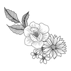 sketch of flower arrangement