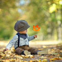 kleiner Junge mit Herbstblatt in der Allee