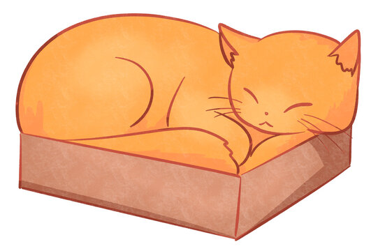Ginger cat sleeping in a box, transparent background