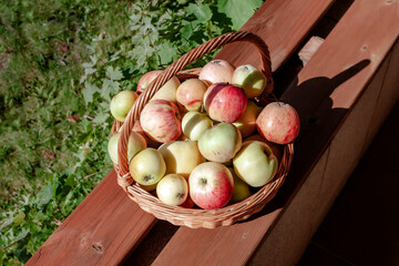 Dojrzałe jabłka w wiklinowym koszu - obrazy, fototapety, plakaty