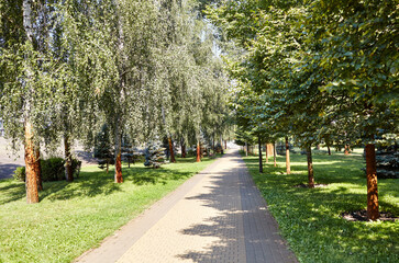 Pathway surrounded by trees in Kyiv, Europe. Recreation place in the city park