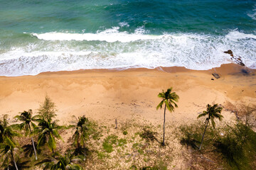 aerial view on the beach with its beautiful white sand and blue sea and plam tree