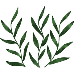 Green Leaves Foliage Watercolor